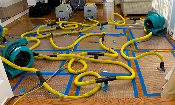 Professional Storm Water Damage Restoration technician working in Crane Hill, AL