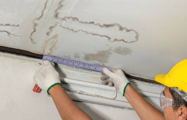 Affordable Water Damage Repair solutions in Crane Hill, AL